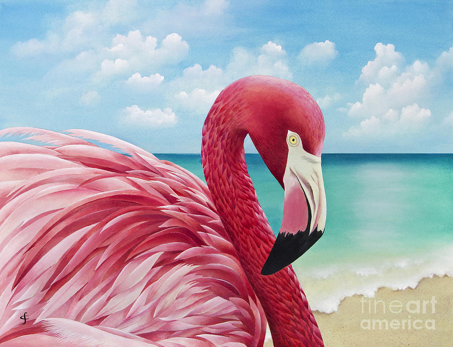 Flamingo Painting - Pretty in Pink #1 by MGL Meiklejohn Graphics Licensing