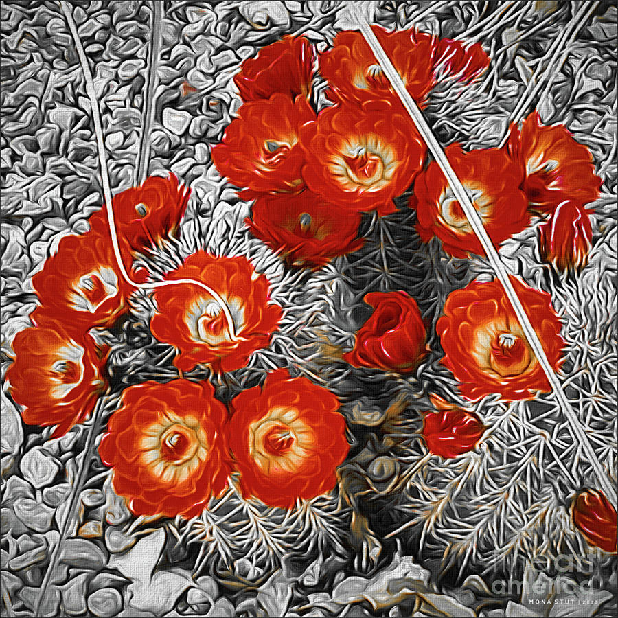 Prickly Cacti Orange Red Digital Art