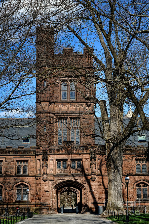 University Photograph - Princeton University East Pyne Hall Tower by Olivier Le Queinec