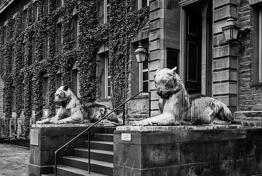 Princeton University Nassau Hall Tigers #1 Photograph by Susan Candelario