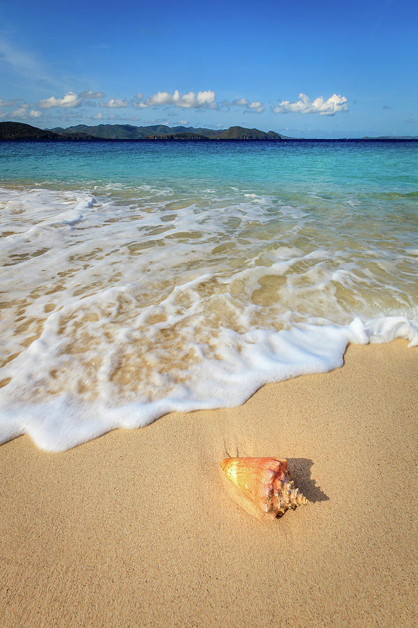 Pristine beach in British Virgin Islands #1 Photograph by Alexey Stiop