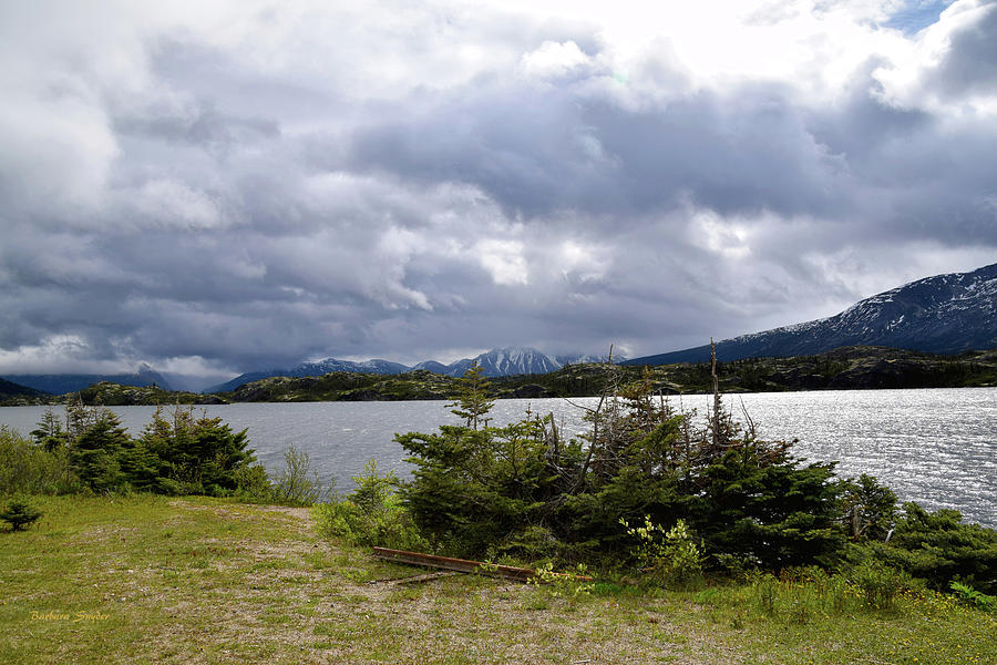 Pristine Lake at Fraser British Columbia #2 Photograph by Barbara Snyder