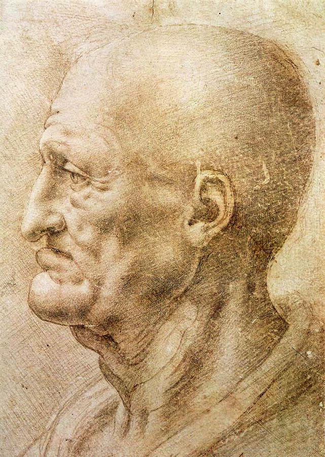 Profile of an old man Drawing by Leonardo da Vinci Fine Art America