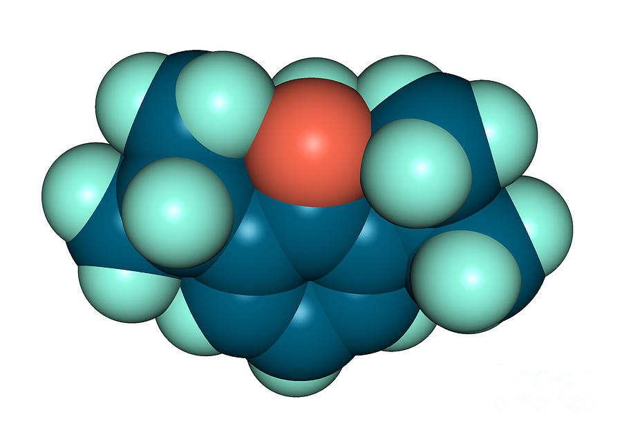 Propofol Diprivan Molecular Model #1 Photograph by Scimat
