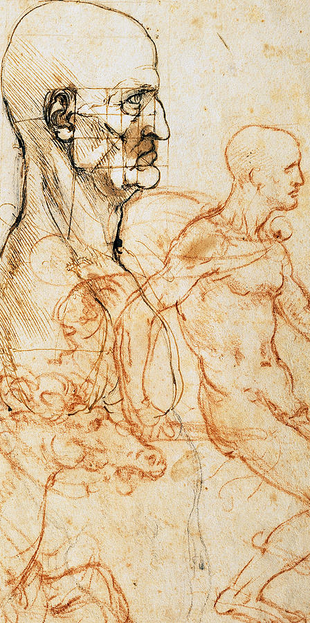 da vinci figure drawings