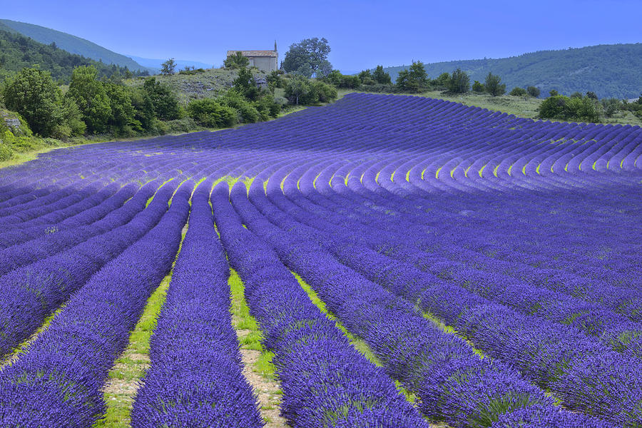 Landscape Photograph - Provence #1 by Christian Heeb