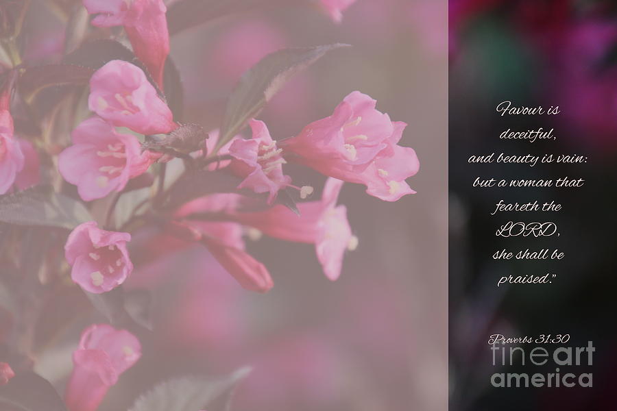 Proverbs 31 v 30 #1 Photograph by Debbie Nobile