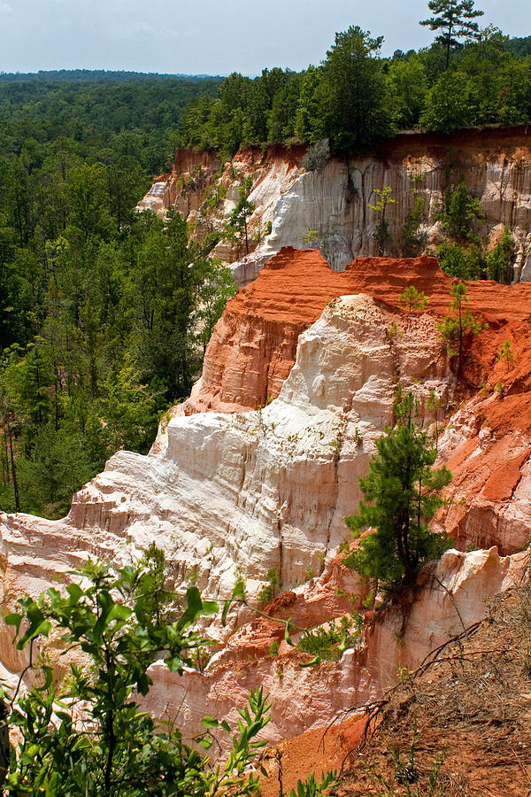 Providence Canyon #1 Photograph by Farol Tomson