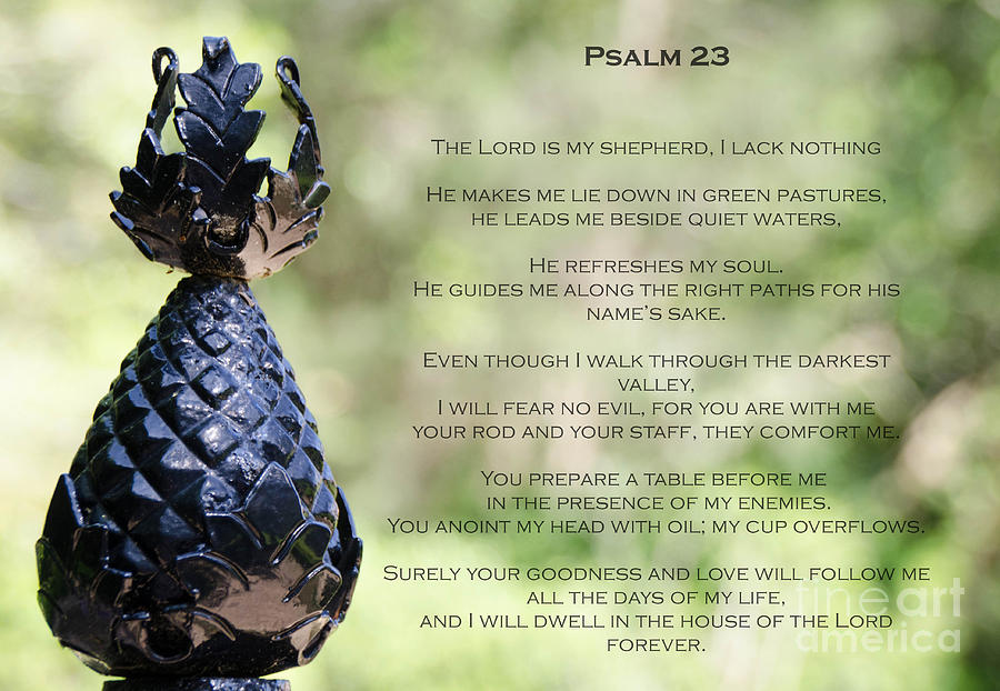 Psalm 23 #2 Photograph by Andrea Anderegg