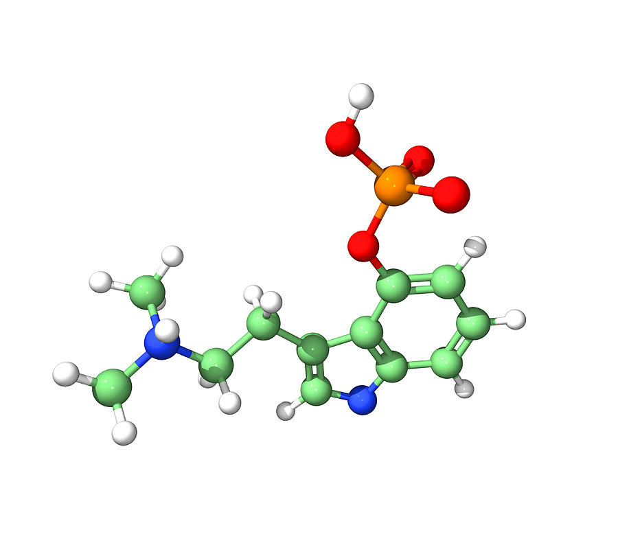 Psilocybin Hallucinogen Molecule #1 Photograph by Dr Tim Evans