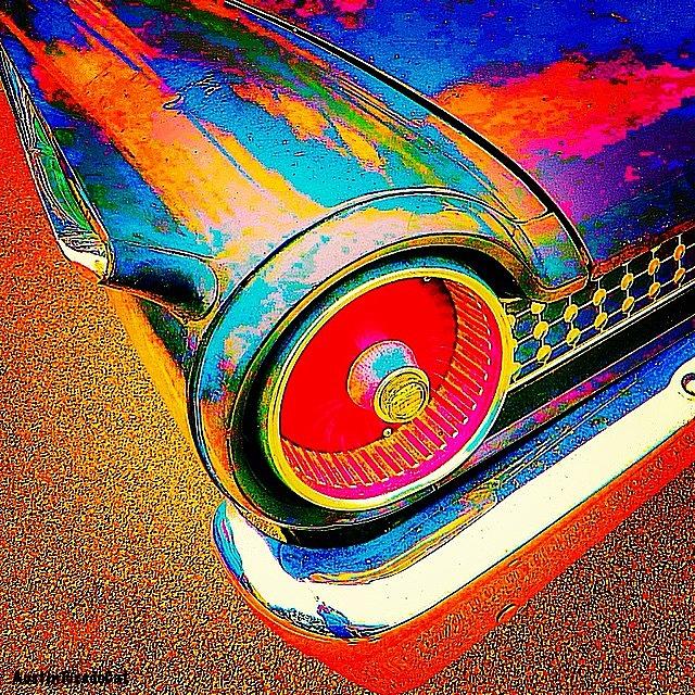 Vintage Photograph - #psychedelic Sunday. There Is Just #1 by Austin Tuxedo Cat