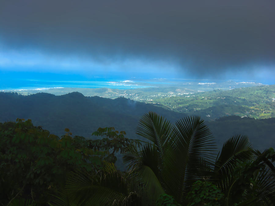 Puerto Rico jungle #1 Photograph by Mark J Dunn