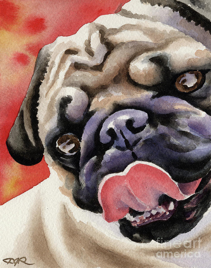 Pug Painting - Pug #2 by David Rogers