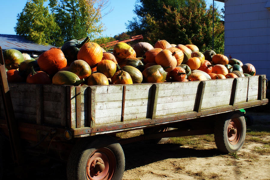 Pumpkin Wagon #1 Photograph by Cricket Hackmann