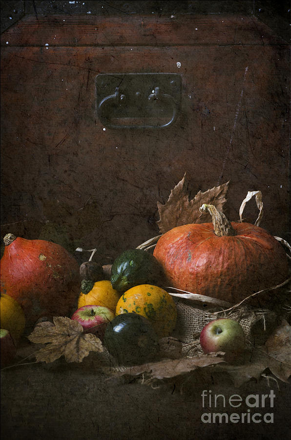 Pumpkins Photograph by Jelena Jovanovic