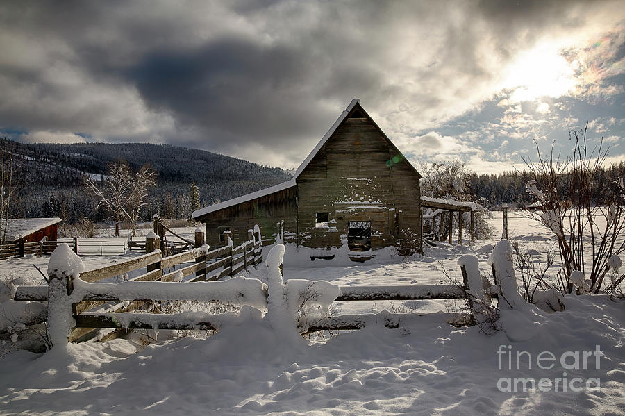 Purcell Barn #1 Photograph by Idaho Scenic Images Linda Lantzy