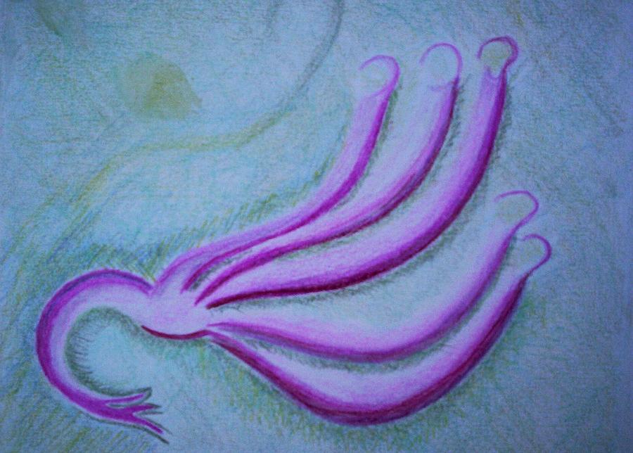 Colored Pencil Painting - Purity #1 by Suzanne Udell Levinger