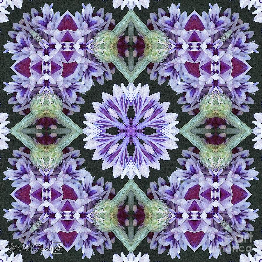 Pattern Photograph - Purple and White Frosted Queen Abstract #2 by J McCombie
