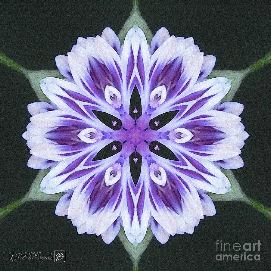 Purple and White Frosted Queen Mandala #2 Digital Art by J McCombie