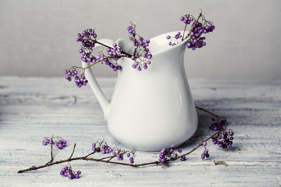Still Life Photograph - Purple Berries #1 by Nailia Schwarz