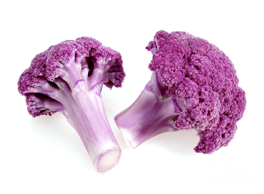 Purple Cauliflower #1 Photograph by Gerard Lacz