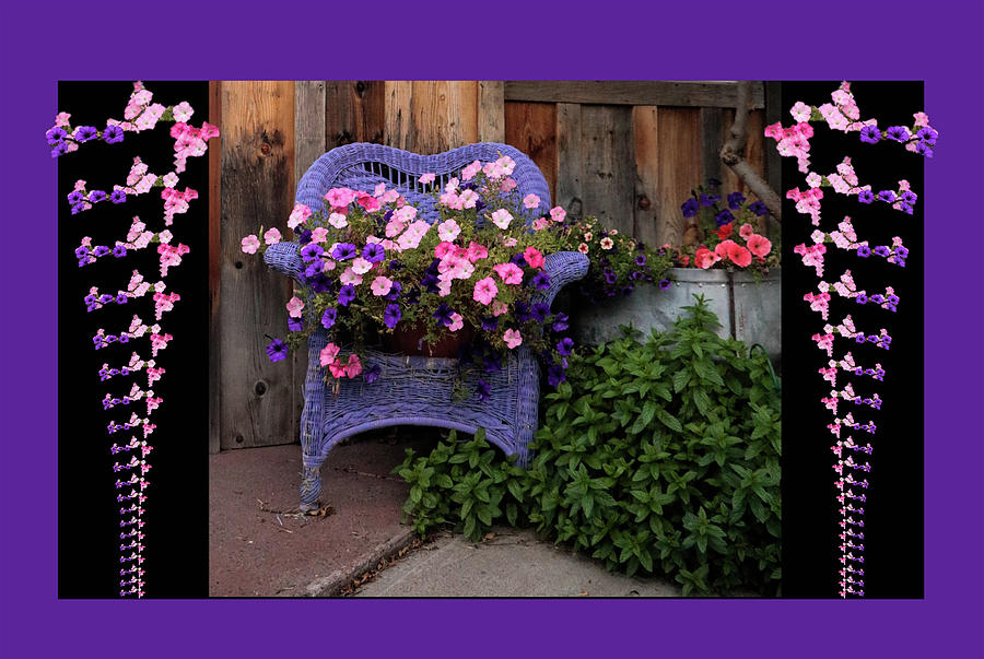Purple Chair Photograph