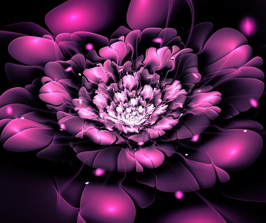 Purple Flower Digital Art by Anastasiya Malakhova