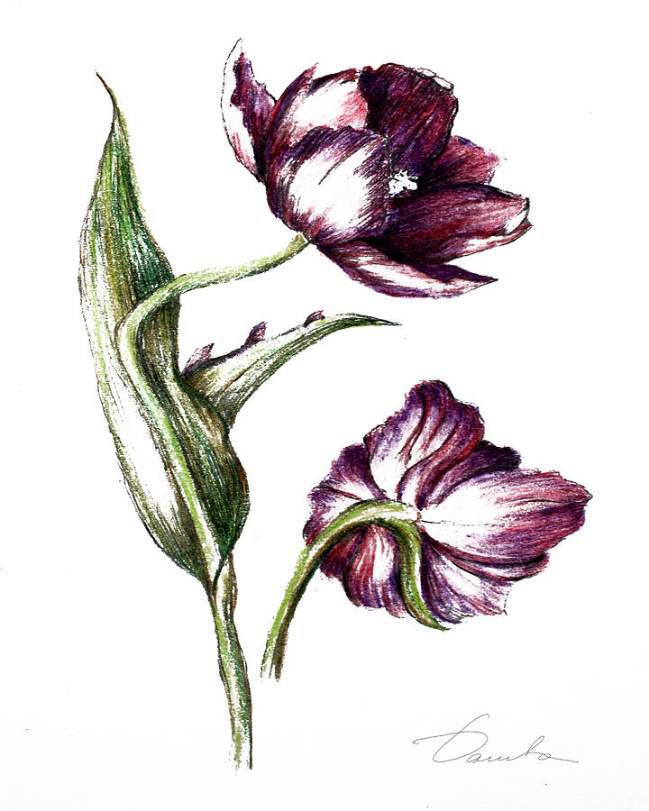 Purple flower #1 Painting by Danuta Bennett