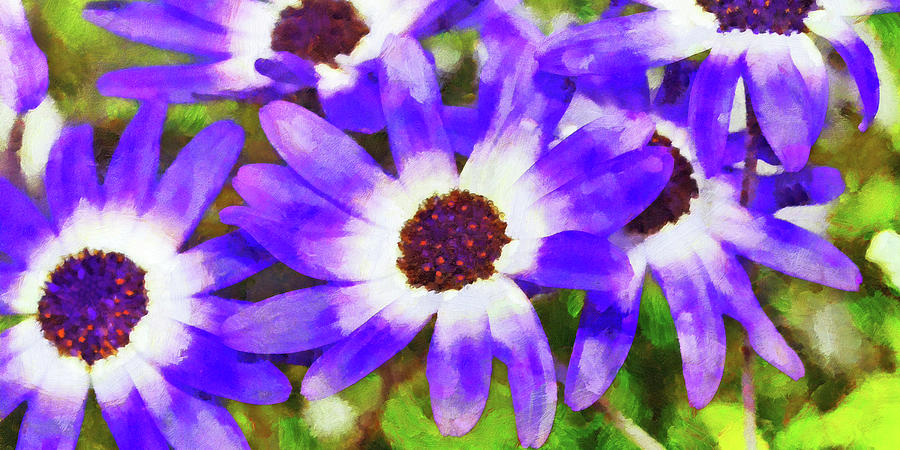 Flower Digital Art - Purple Flowers #1 by Digital Photographic Arts