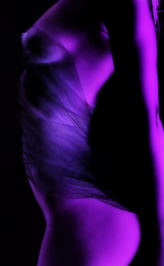 Nude Photograph - Purple Love by David Naman