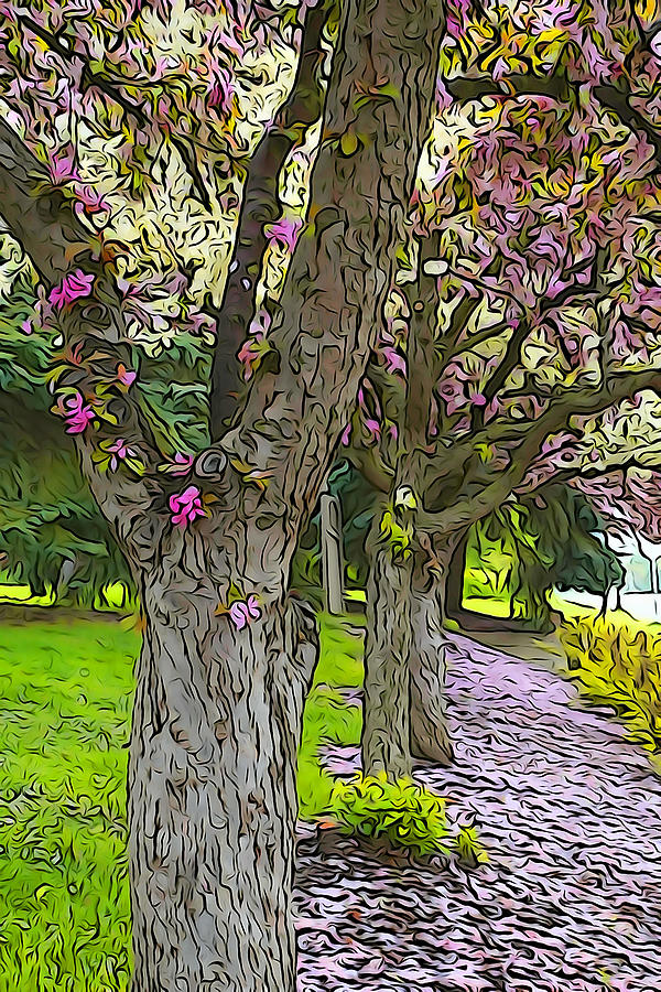 Crabapple Trees in Spring Photograph by Dennis Cox