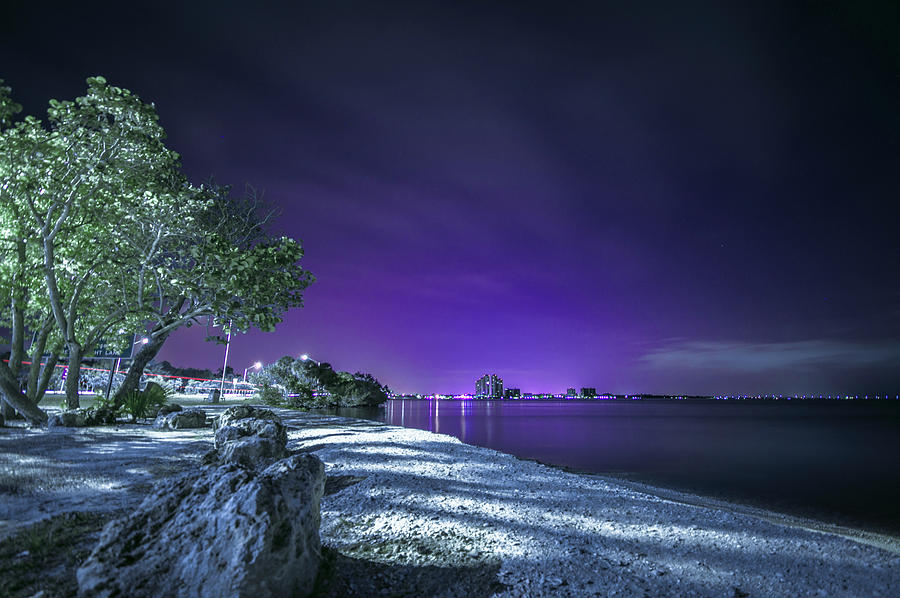 Purple Skies Photograph