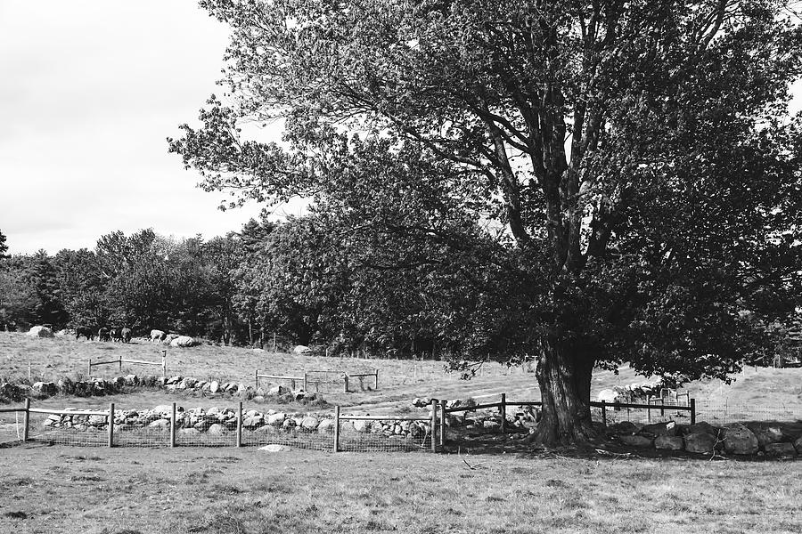 Quaint New England Farm Scene #1 Photograph by Mountain Dreams