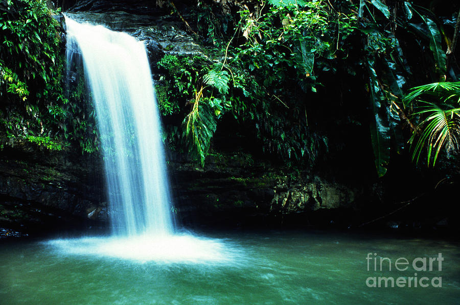 Quebrada Juan Diego Waterfall #1 Photograph by Thomas R Fletcher