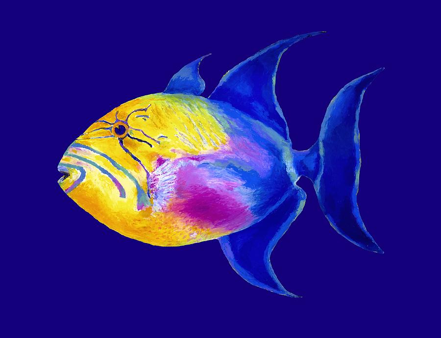 Queen Triggerfish #1 Painting by Stephen Anderson