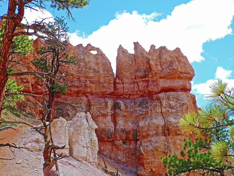 Queens Garden Trail in  Bryce National Park, Utah  #1 Photograph by Ruth Hager