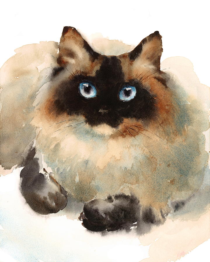 Cat Painting - Ragdoll Cat #1 by Maria Stezhko