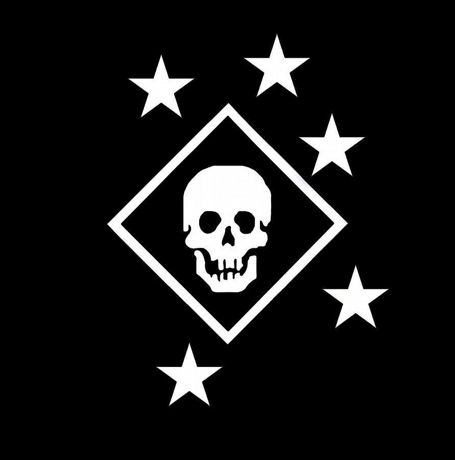 Skull Digital Art - Raider Emblem #1 by Modern Man