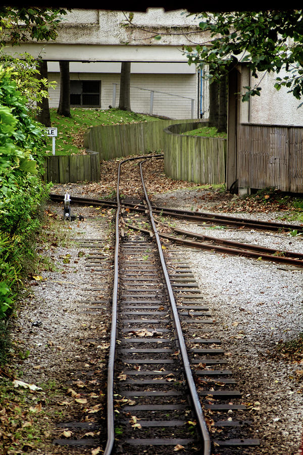 Victorian Railroad Tracks Photograph by Doc Braham - Fine Art America