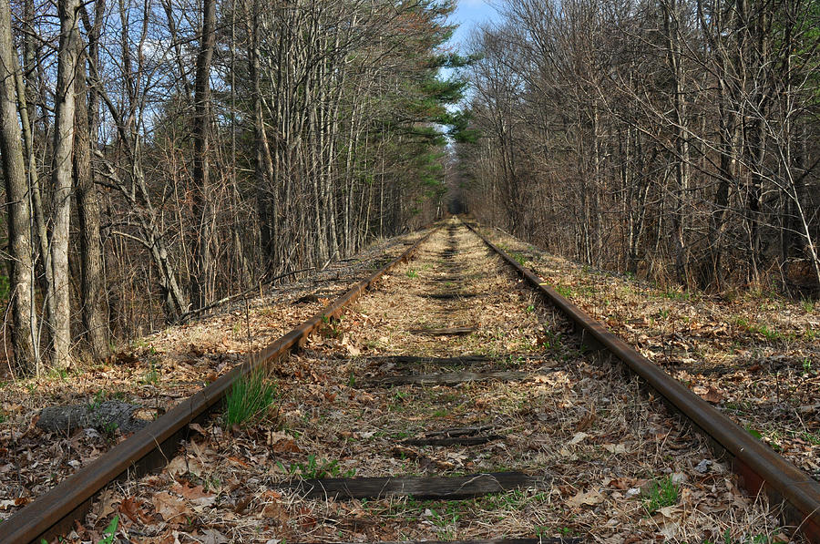 Railroad Tracks #1 Photograph by Diane Lent