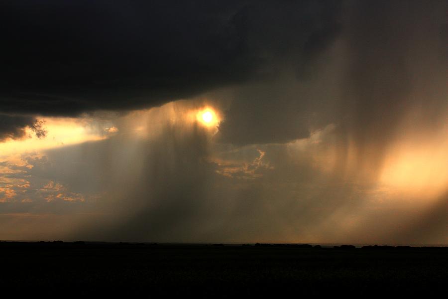 Rain  #1 Photograph by David Matthews