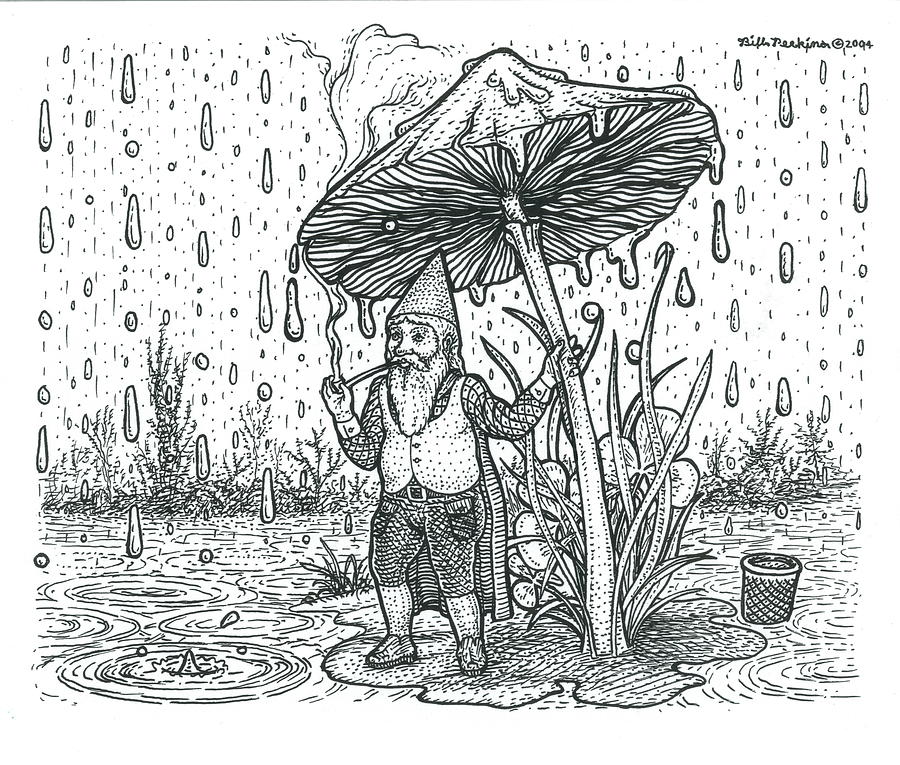 Rain Gnome  #1 Drawing by Bill Perkins