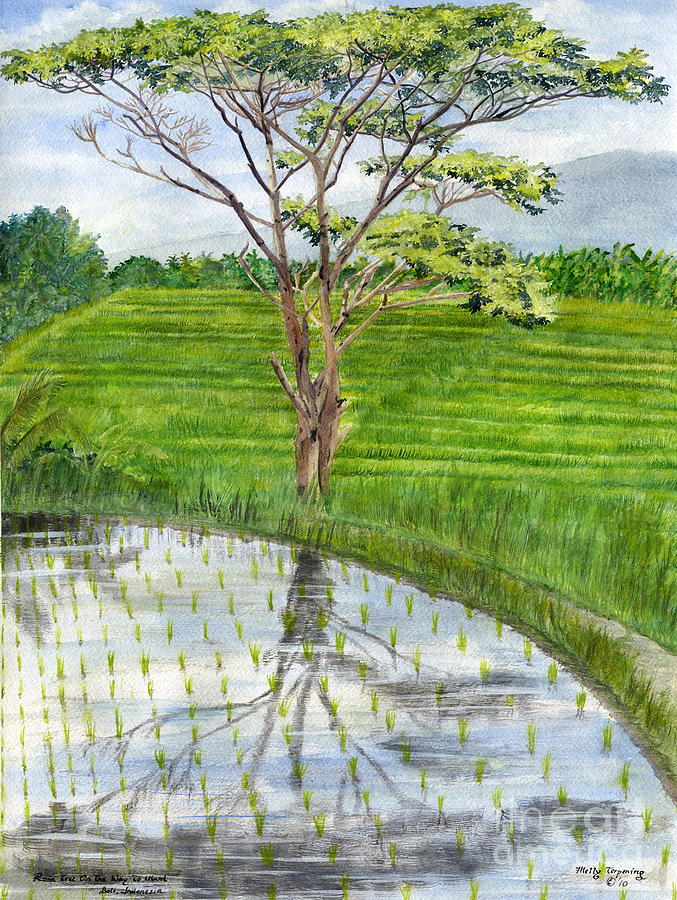 Rain Tree On The Way to Ubud Bali Indonesia #1 Painting by Melly Terpening
