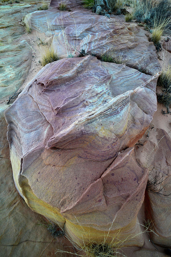 Rainbow Colored Sandstone in Valley of Fire #1 Photograph by Ray Mathis