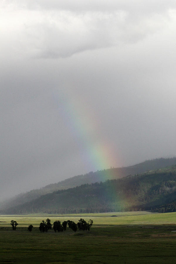 Rainbow Hayden Valley Yellowstone USA #1 Photograph by Bob Savage