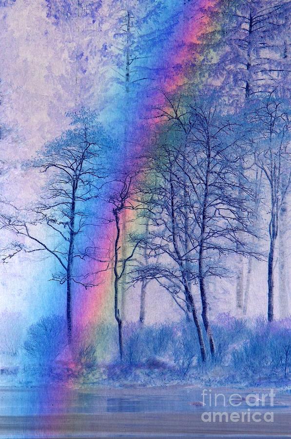 Nature Photograph - Rainbow magic #2 by Frank Townsley