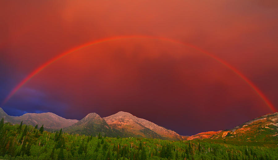Rainbow #1 Photograph by Mark Smith