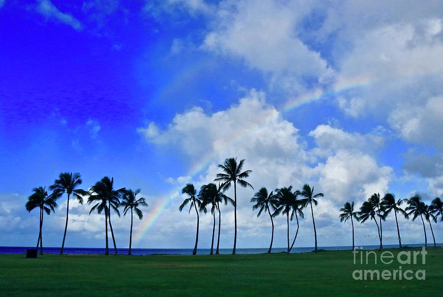Rainbow Palms #1 Photograph by Craig Wood