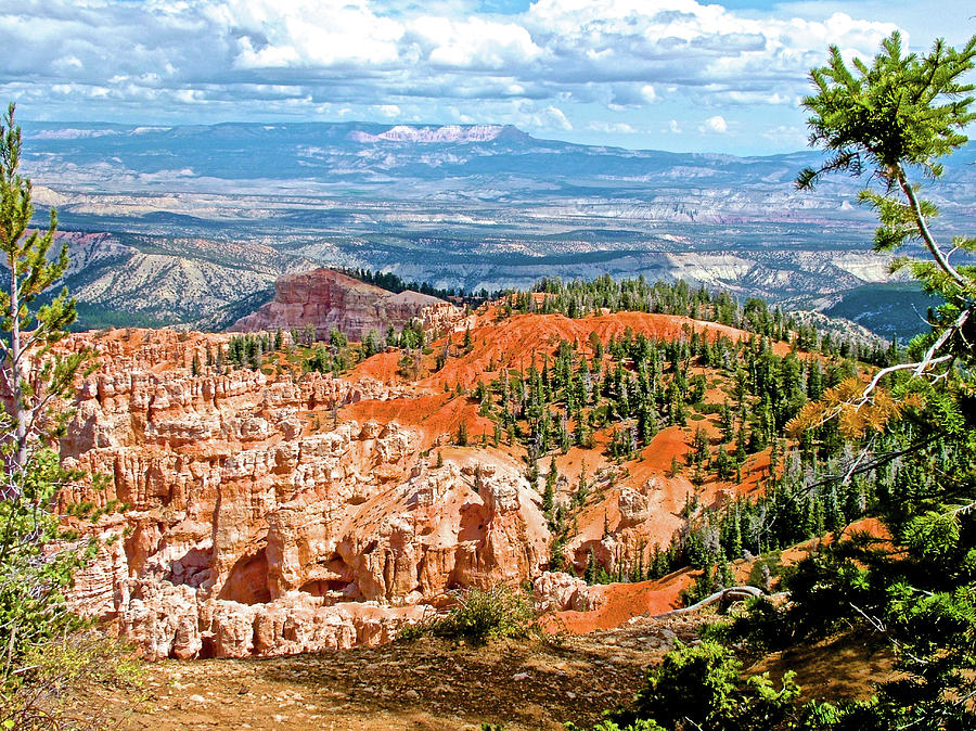 Rainbow Point in Bryce Canyon National Park, Utah #1 Photograph by Ruth Hager