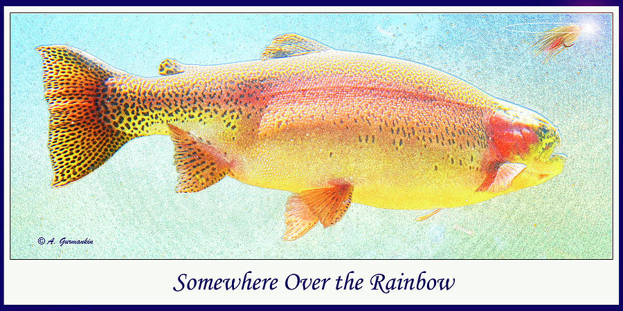 Rainbow Trout Spots a Fly #1 Digital Art by A Macarthur Gurmankin